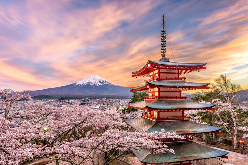 Mt. Fuji and the iconic Chureito Pagoda during cherry blossom season