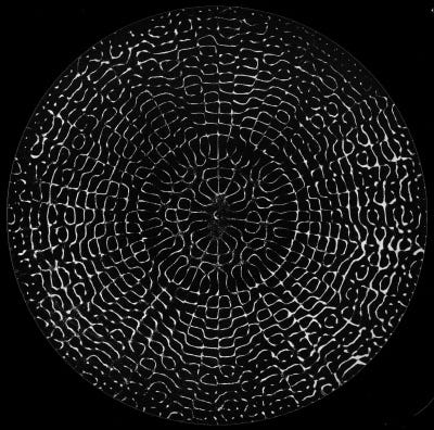 Hans Jenny Cymatics