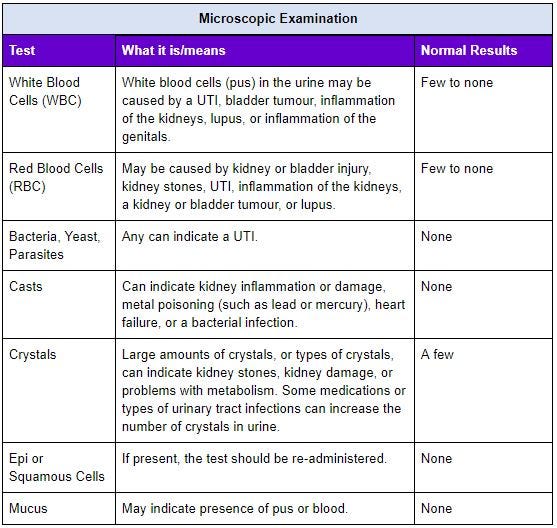 What Do Urine Tests Tell Us Dot Health Medium