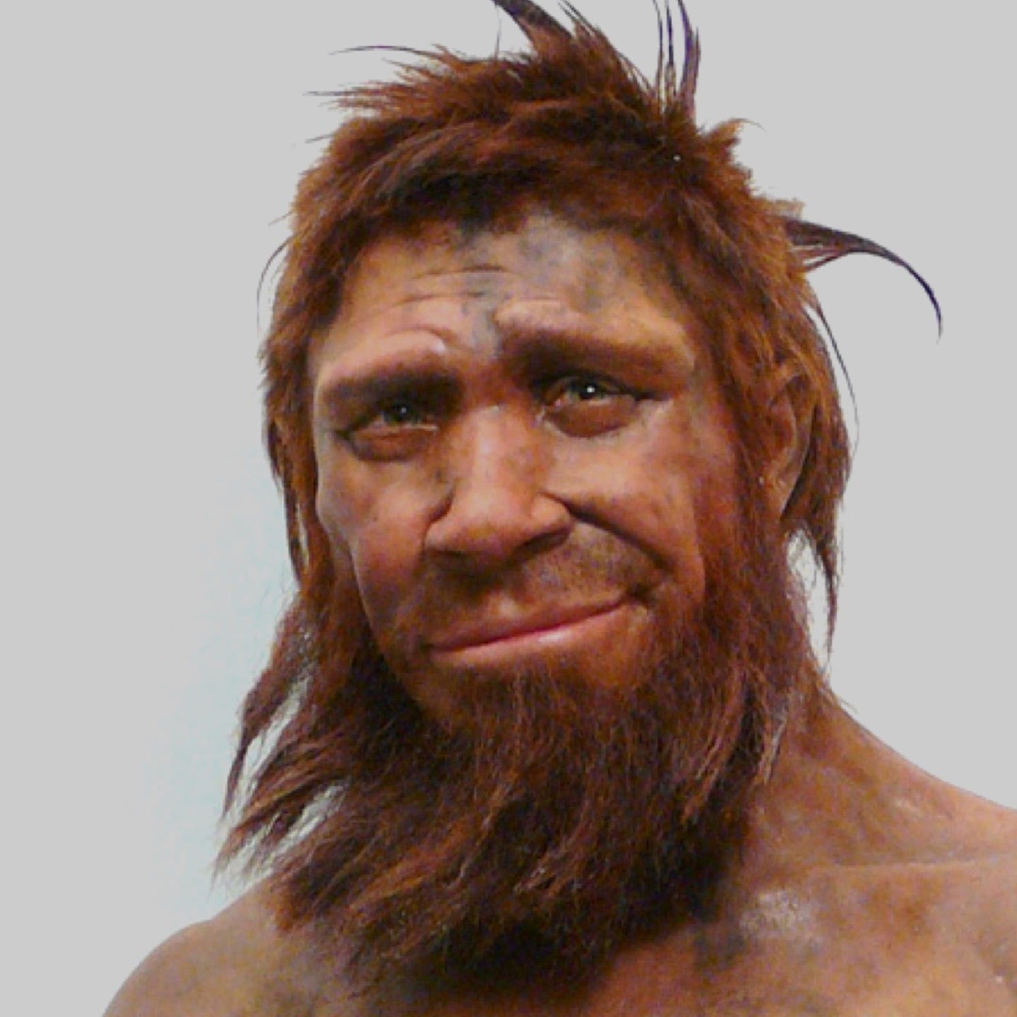 Кроманьонец неандерталец сапиенс сапиенс