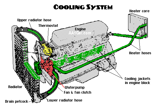 How To Care For Your Car : Engine Cooling System Module