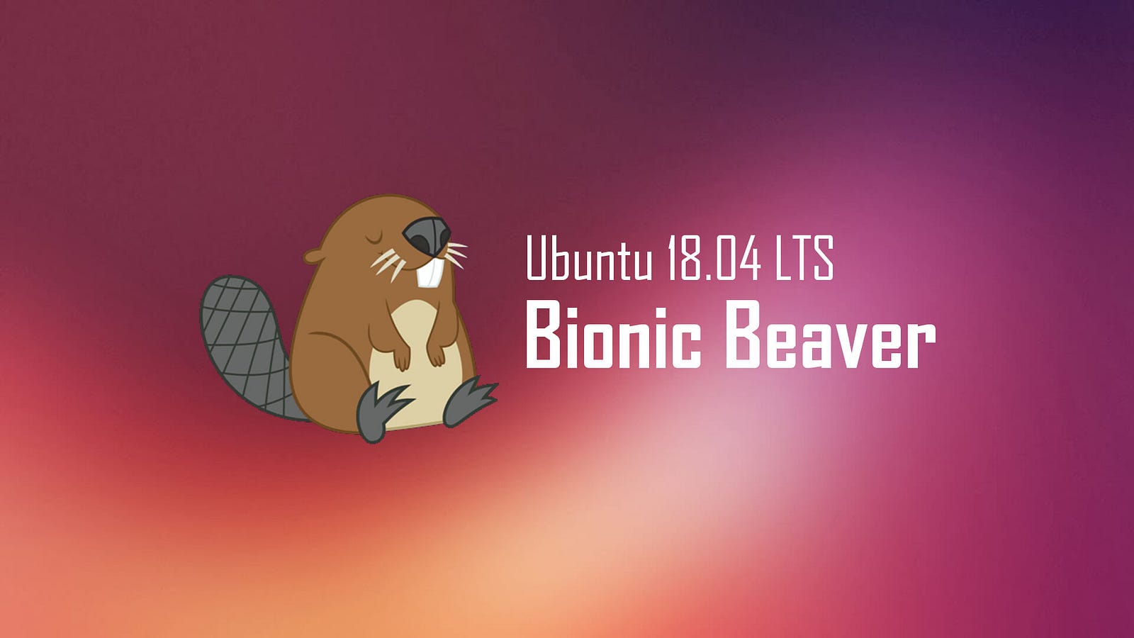 ubuntu-18-04-lts-codezillas-medium