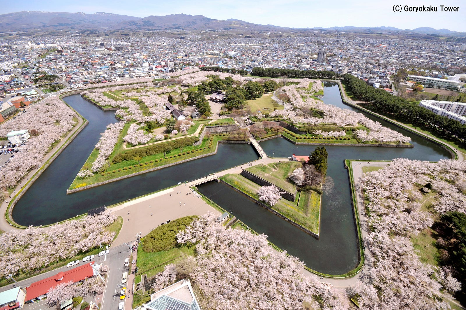 Hakodate Cherry Blossom 2019 Fort Goryokaku Japan Travel Guide JW