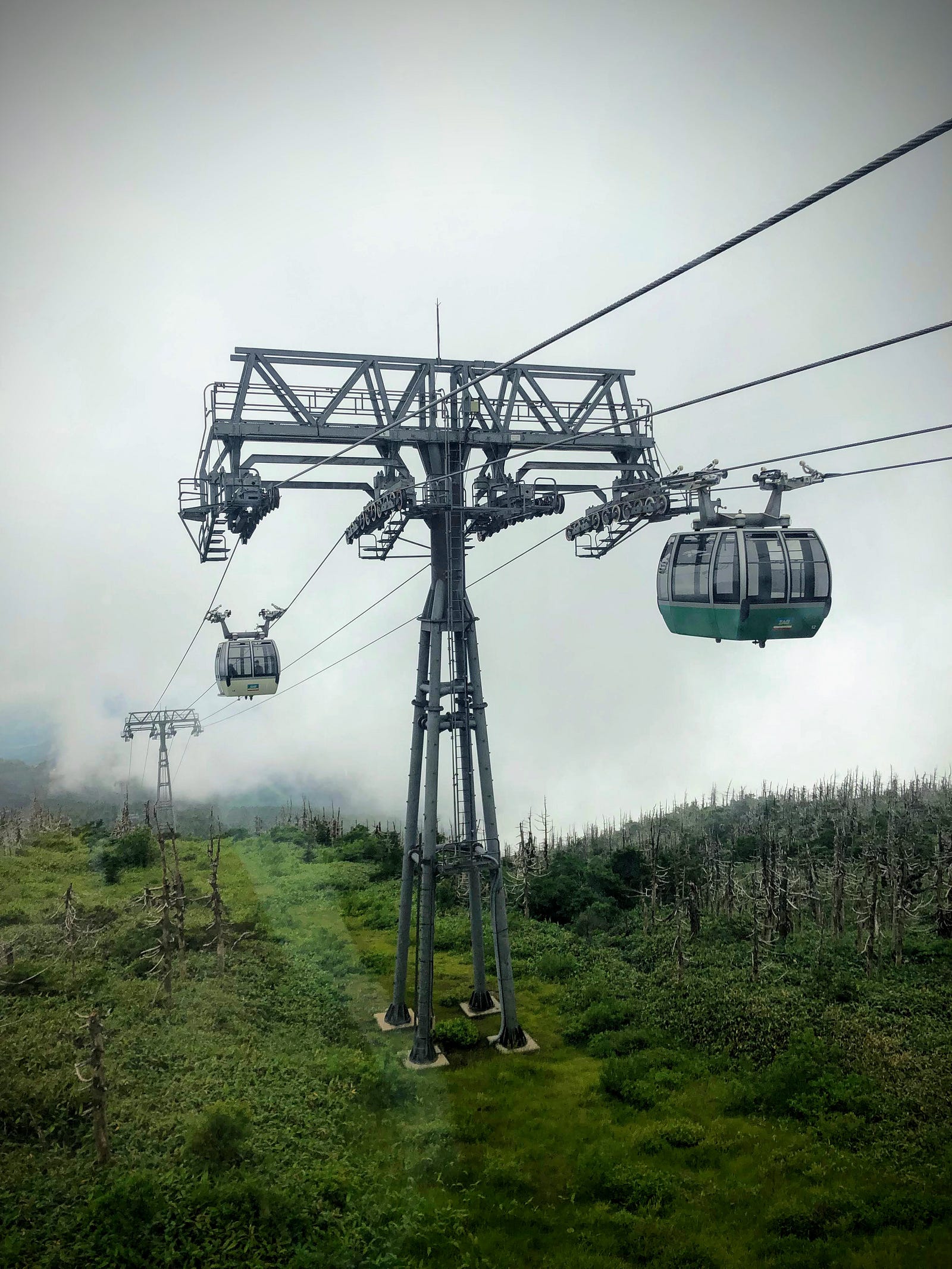 The Zao Ropeway seen from Jizo Sancho Station, a giant gondola that comes out of the clouds with the bright green of summer and white fir trees that turn into the Zao snow monsters.