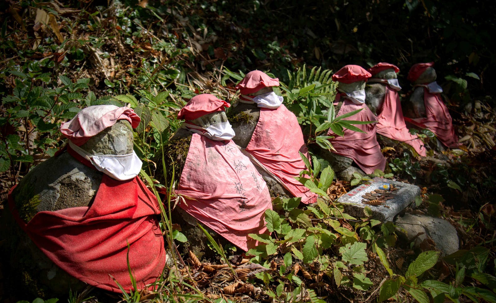 Some of the Jizo statues wearing red bibs that line the trails from Atsumi on Mt. Maya, one of the 100 Famous Mountains of Yamagata.