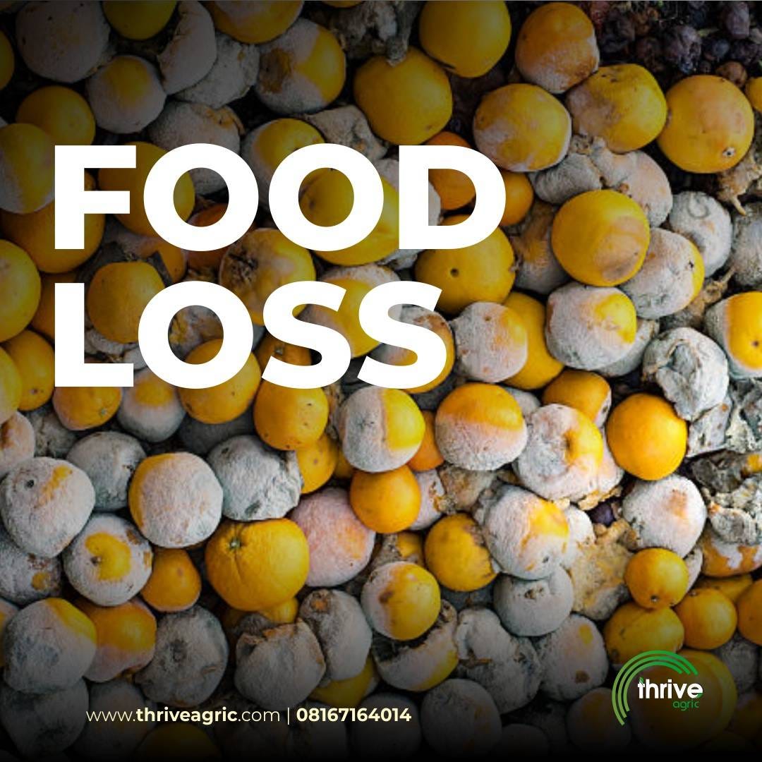 Food Loss Thrive Agric Medium