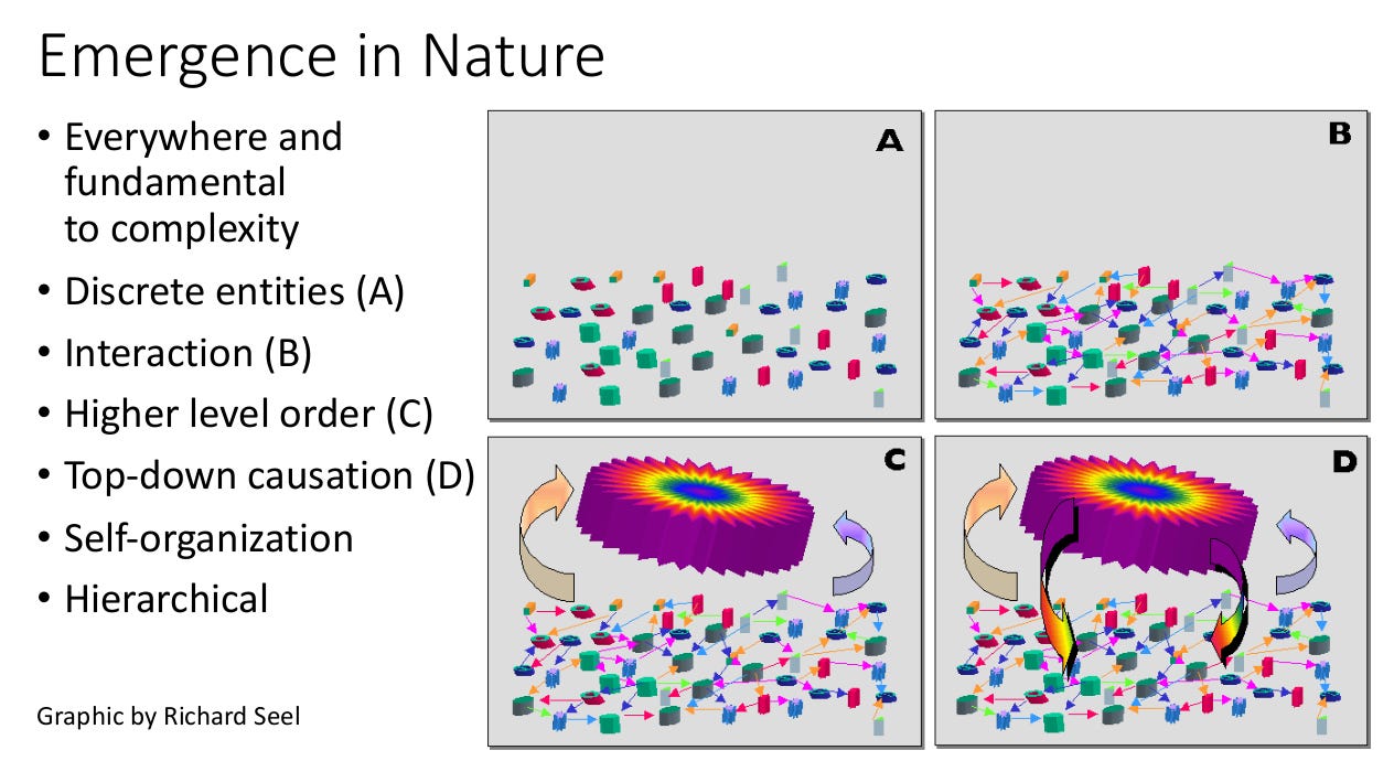 emergent phenomena