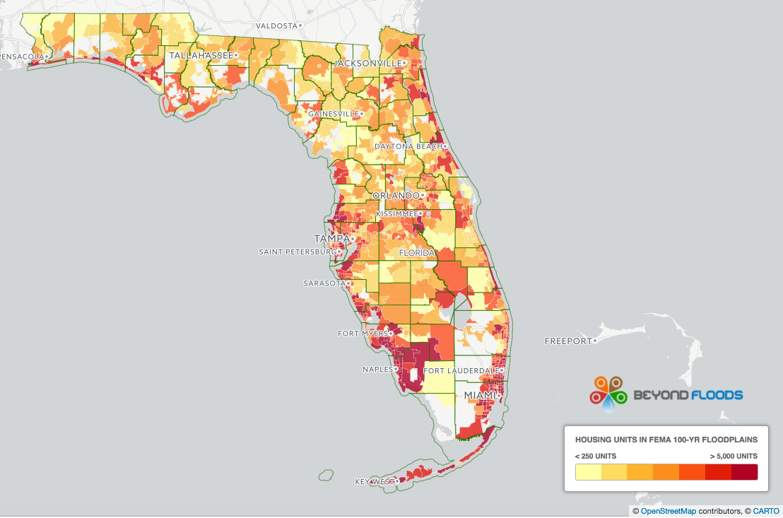 withlacoochee-river-watershed-distribution-of-fema-100-year-flood-zones