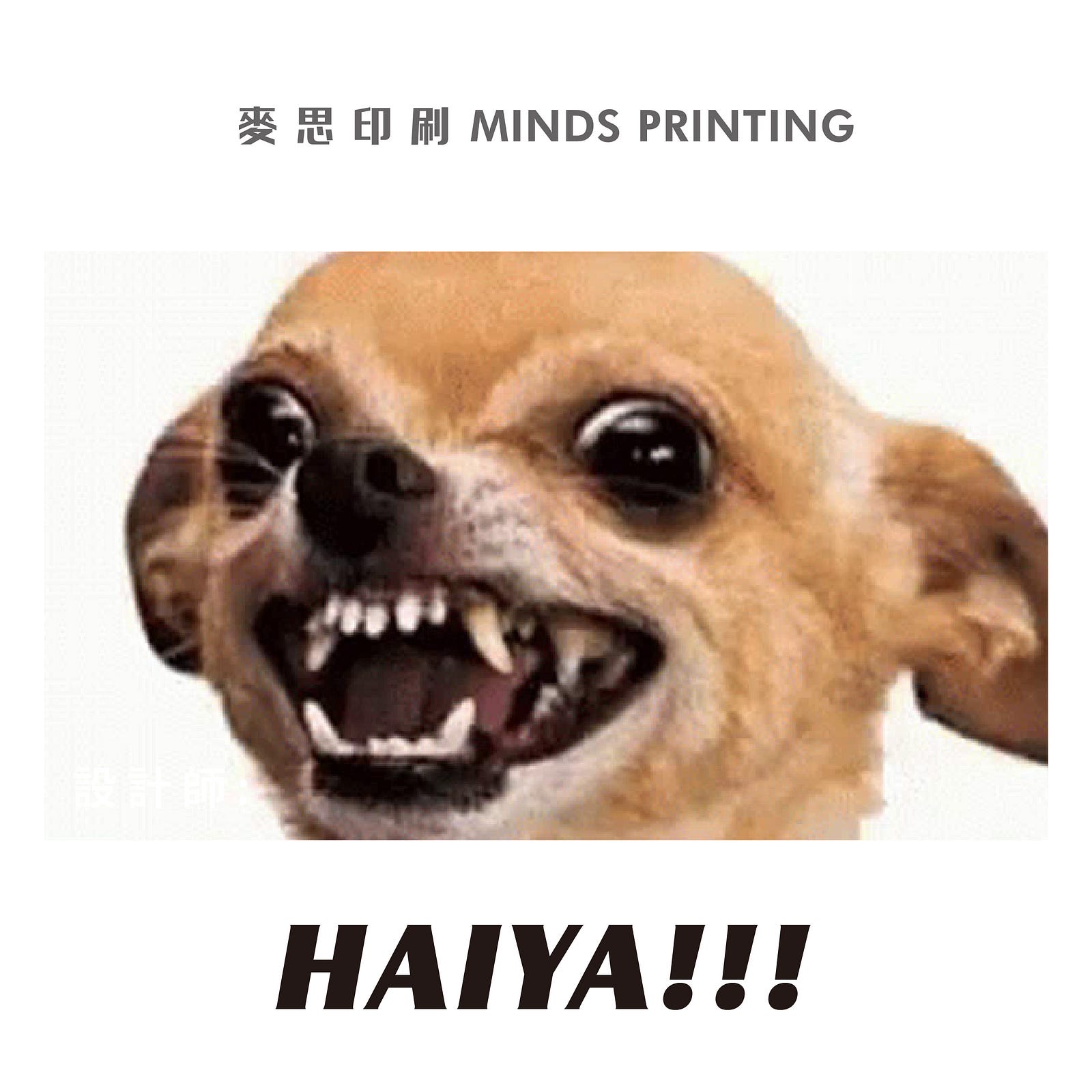 惹怒設計師