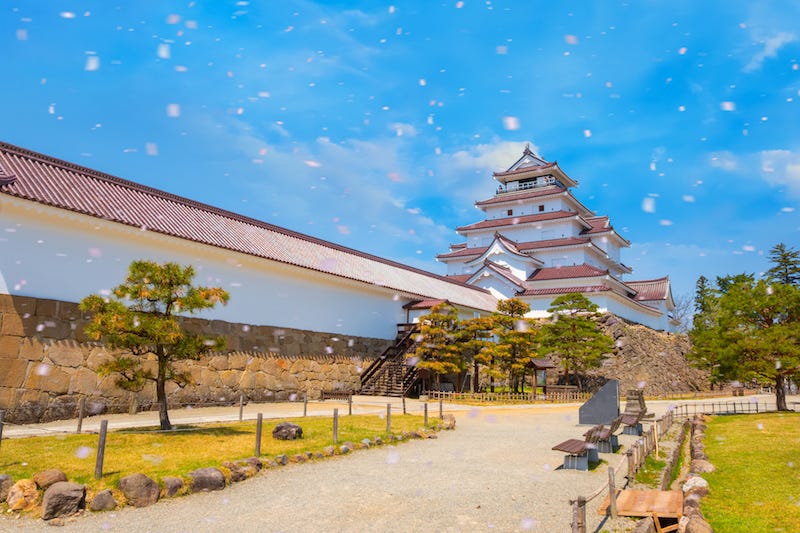 Cherry blossom petals flutter about in front of Aizu-Wakamatsu’s Tsuraga Castle