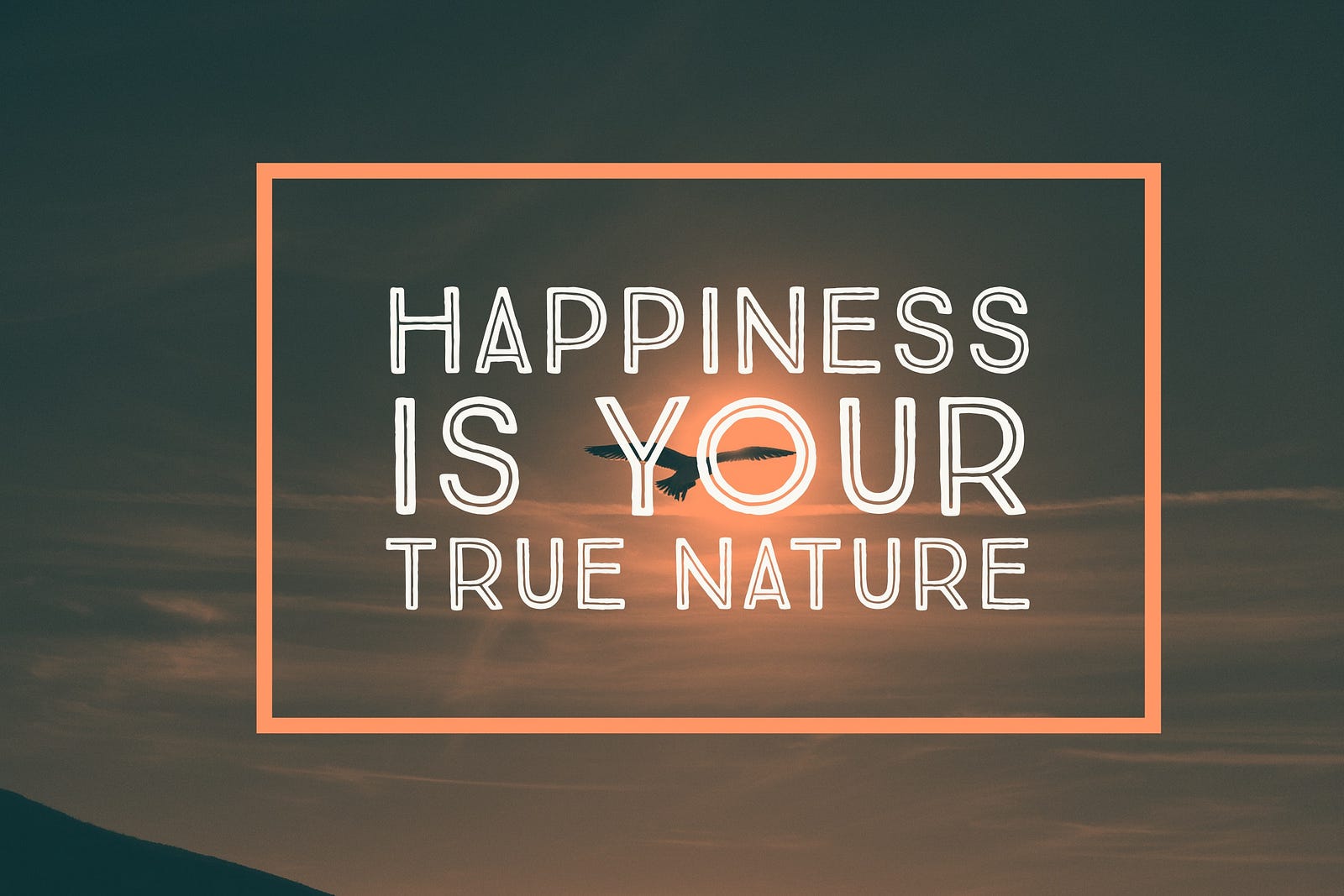 Image result for happiness -our true nature