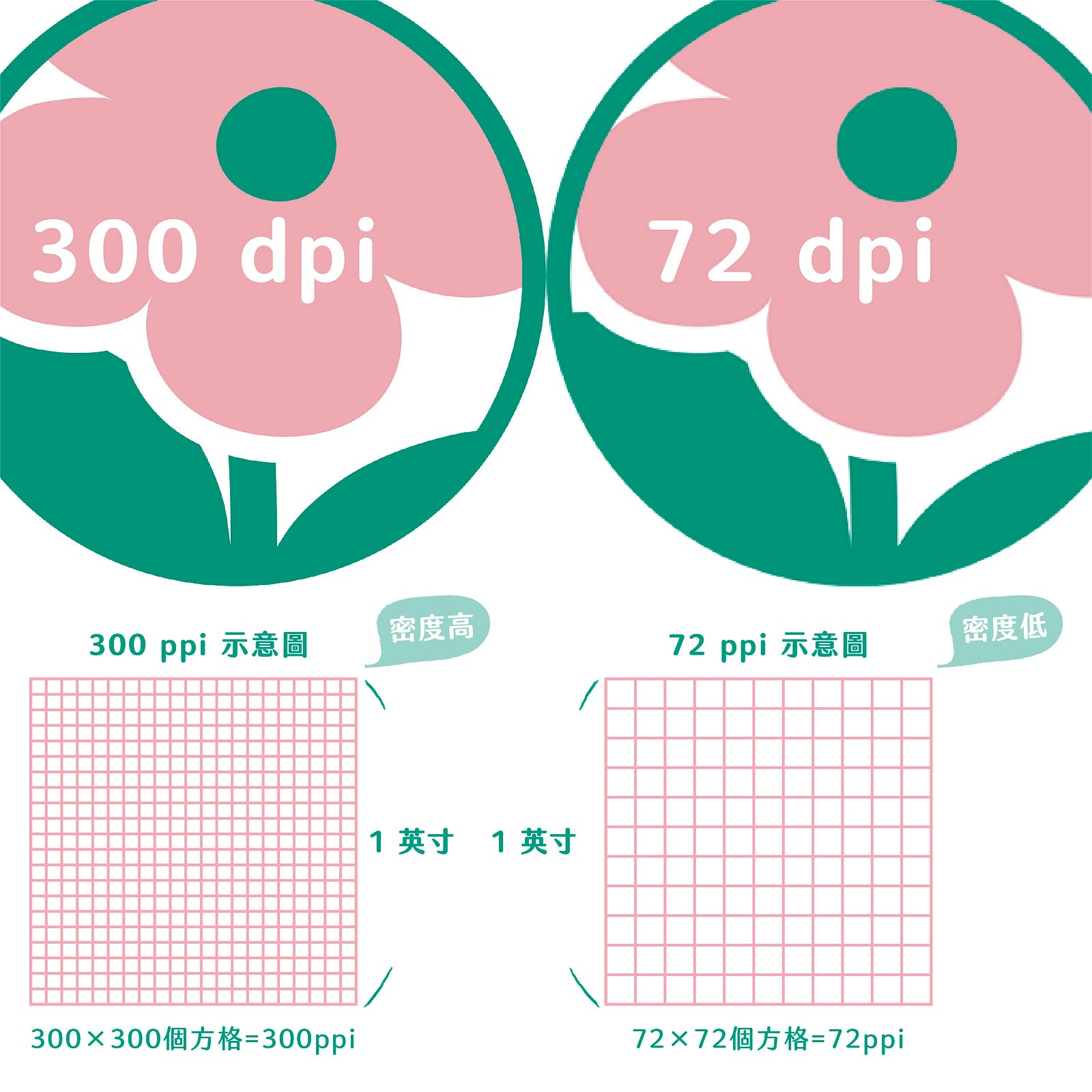 點陣圖&向量圖