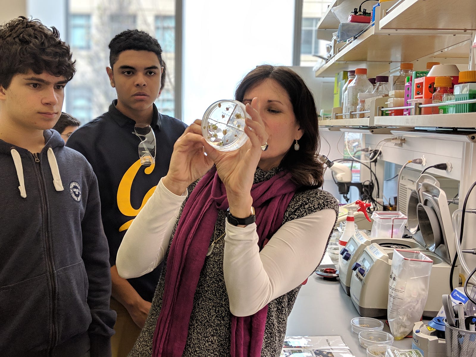 Dr. Susan Jenkins showcasing genetically modified plants at her research institute