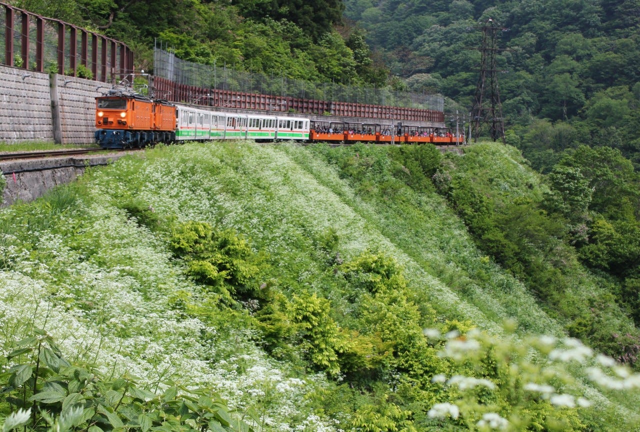 is-a-japan-rail-pass-worth-it-for-traveling-in-japan