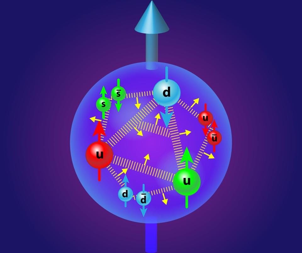 why-does-the-proton-spin-physics-holds-a-surprising-answer