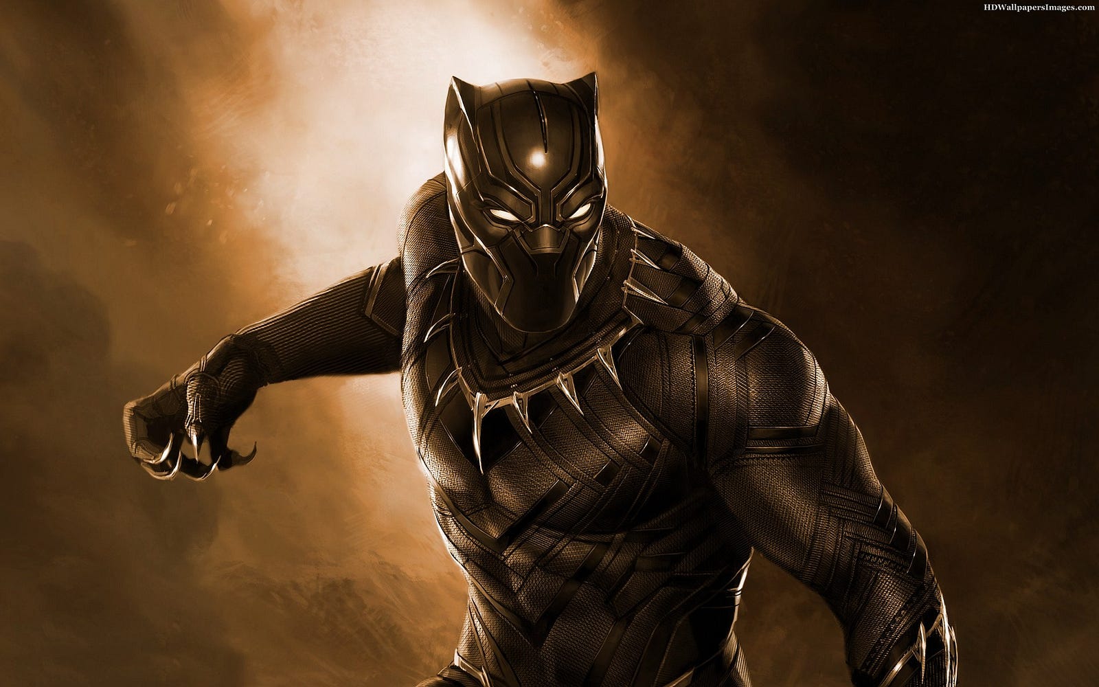 Black Panther - wide 8