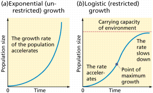 why-your-j-curve-is-actually-an-s-curve-and-tam-is-a-meaningless-metric