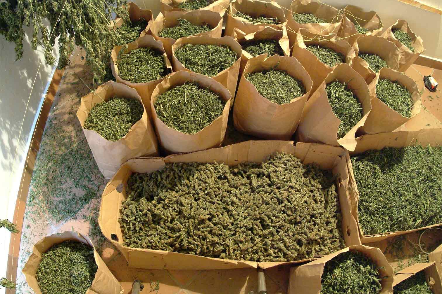 Why Our Grow Bags Are Better IUCN Water
