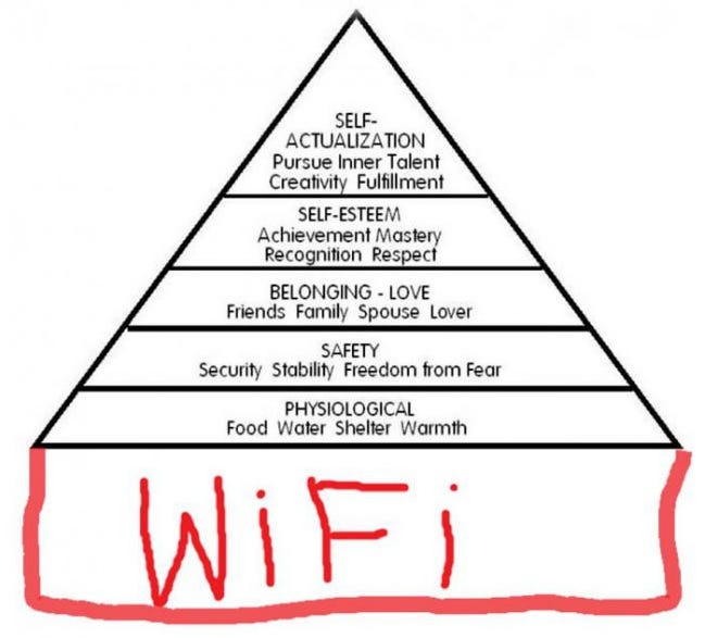 Solving Physiological Needs with Biology Elliot Roth Medium