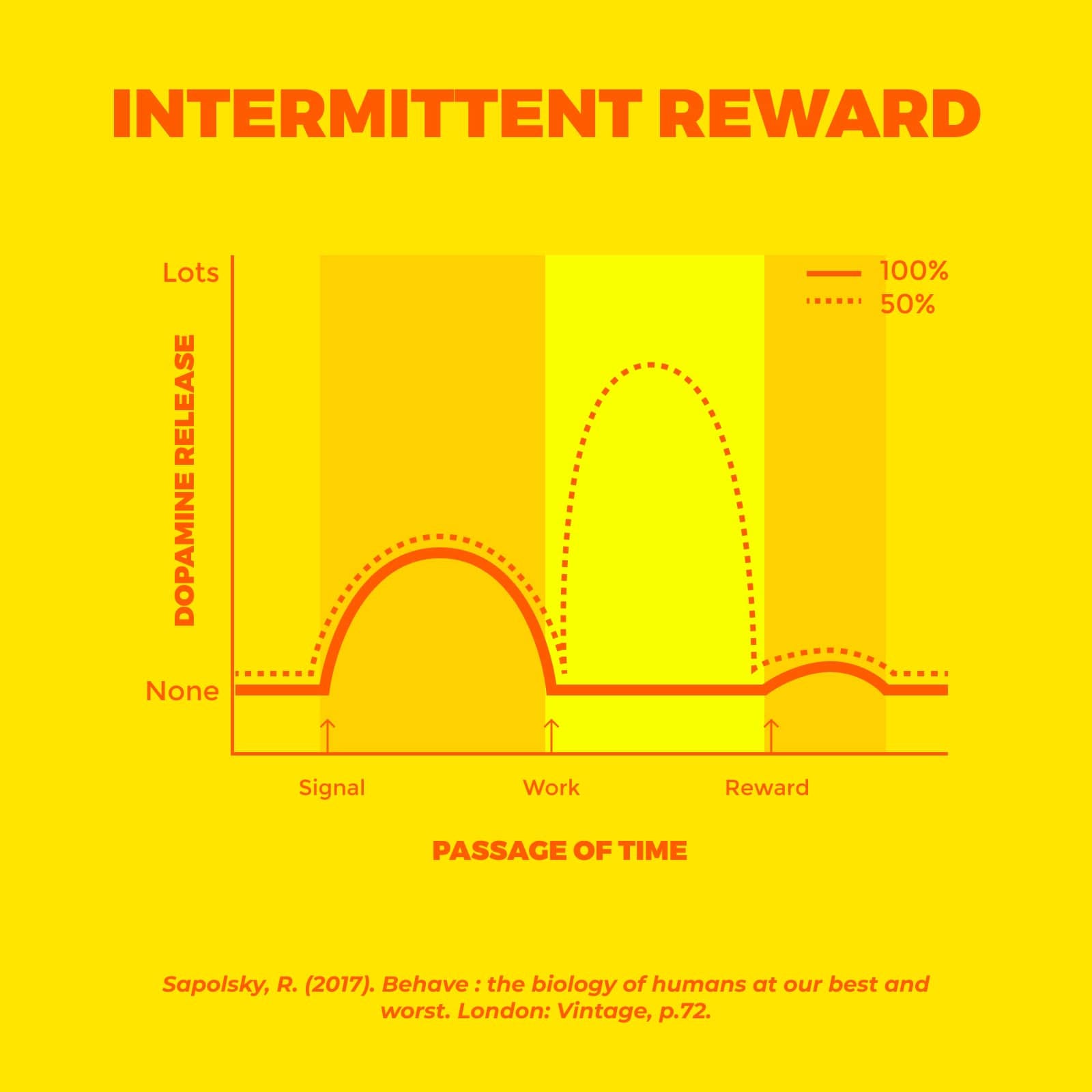 Chart of intermittent dopamine reward