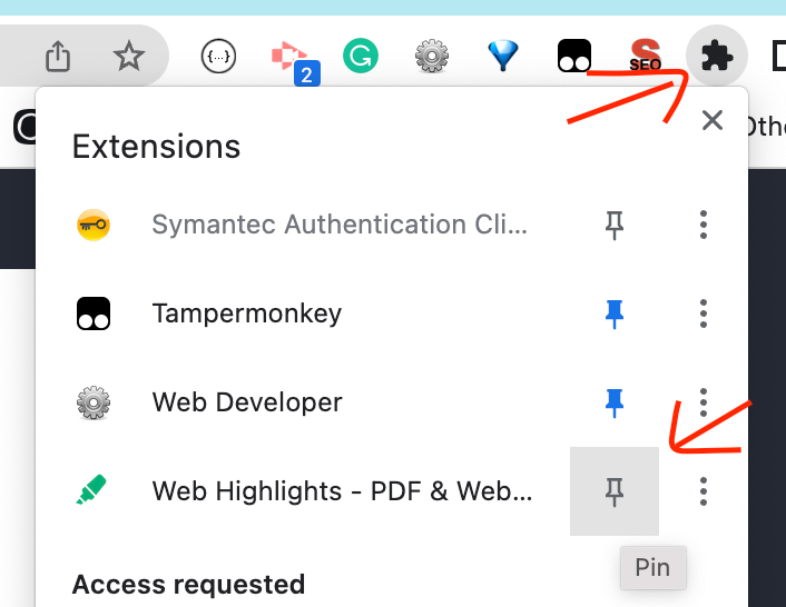 Screenshot: How to pin extension