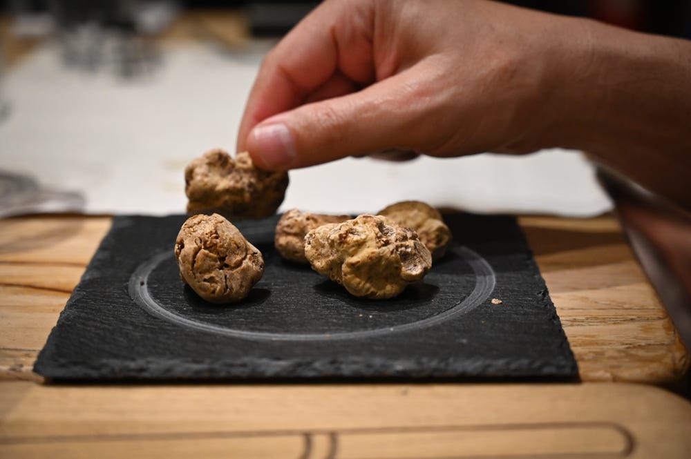 White truffles in Alba