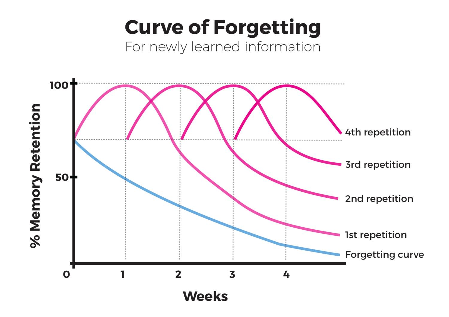 What you need to know… about The Curve of