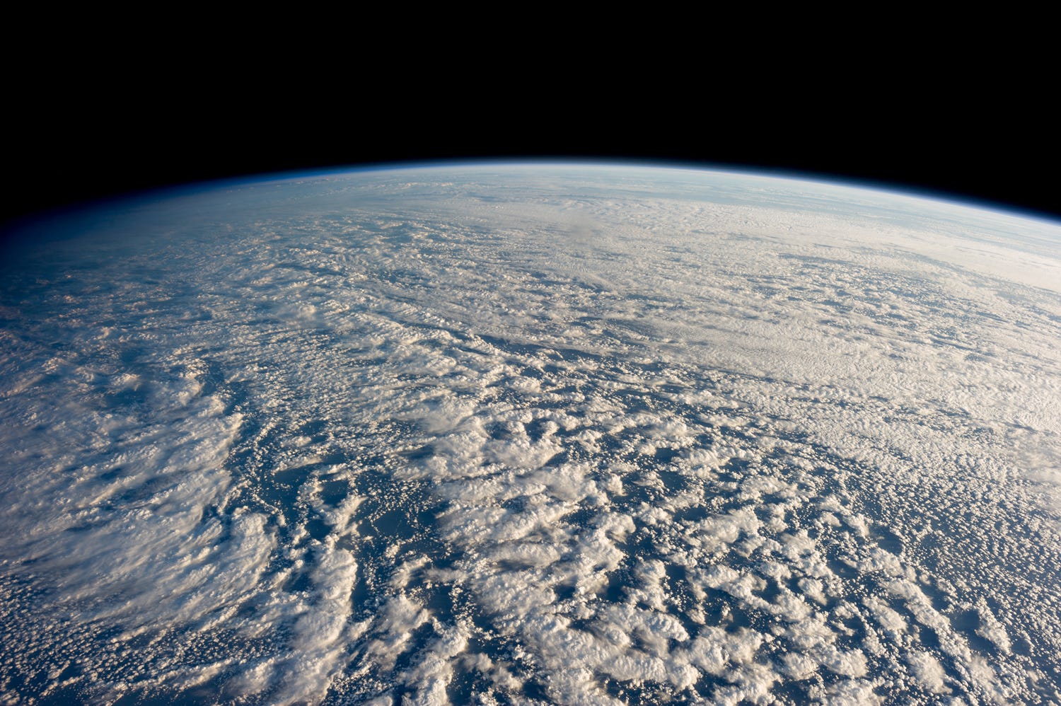 cloud-index-stratocumulus-looking-up-medium