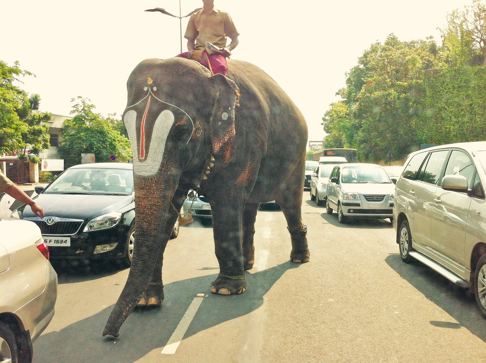 The Invisible Elephant In My Photos Hacker Noon Just Another Way To Travel In India