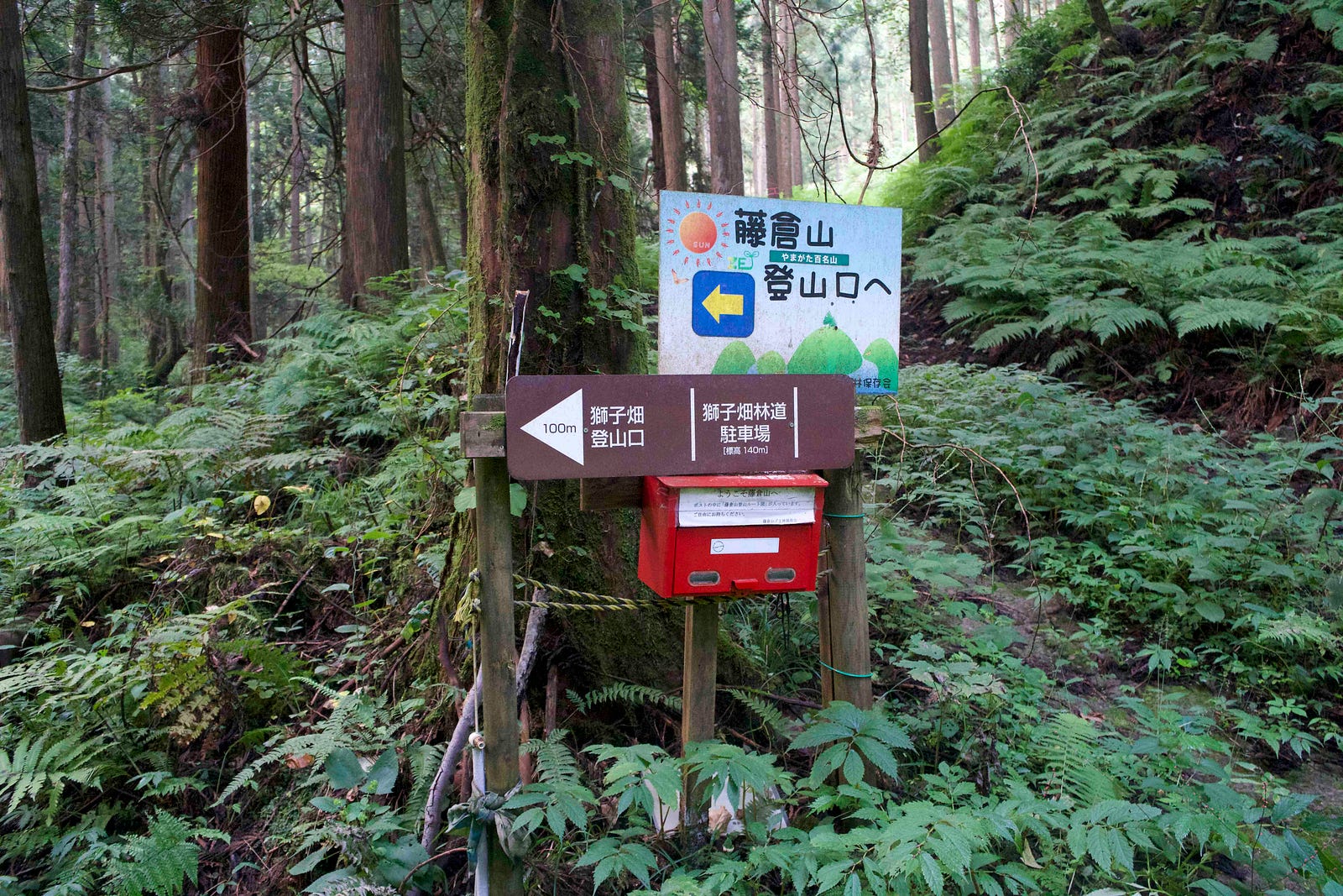 Signage in the middle of a dense cedar forest on the way up Mt. Fujikura. There is even a red letterbox for keeping maps and notes to other hikers
