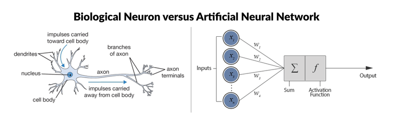 neural-networks-simplified-towards-data-science