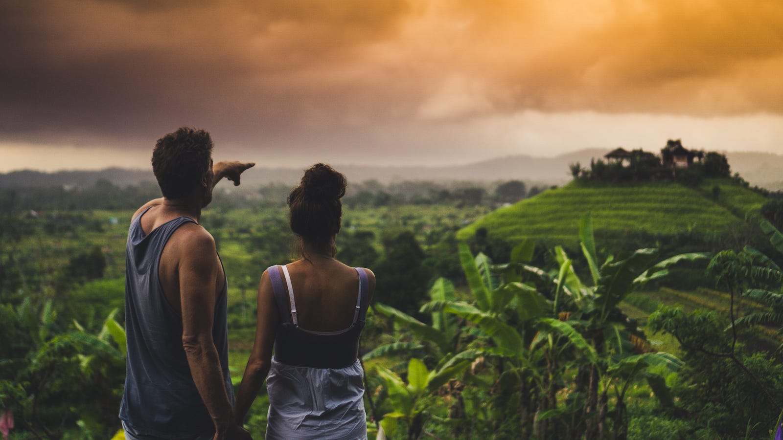 A cuple pointing off into the distance of a beautiful jungle at sunset