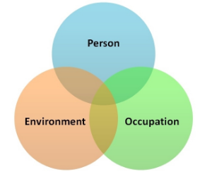 peo model occupational performance universal circles overlapping component representing each three description