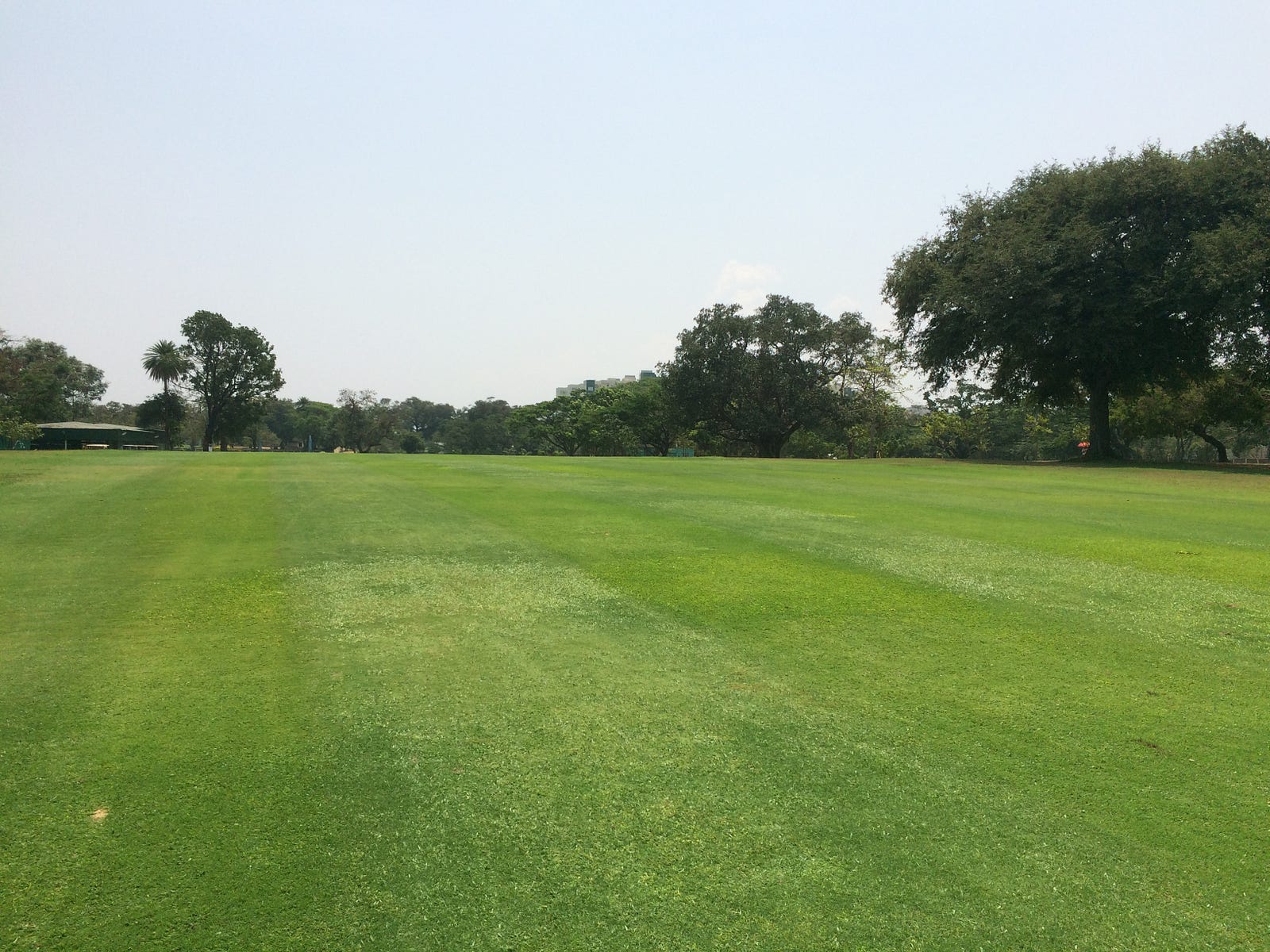 CosmoTNGF, Chennai, Tamil Nadu Golf course information and reviews.