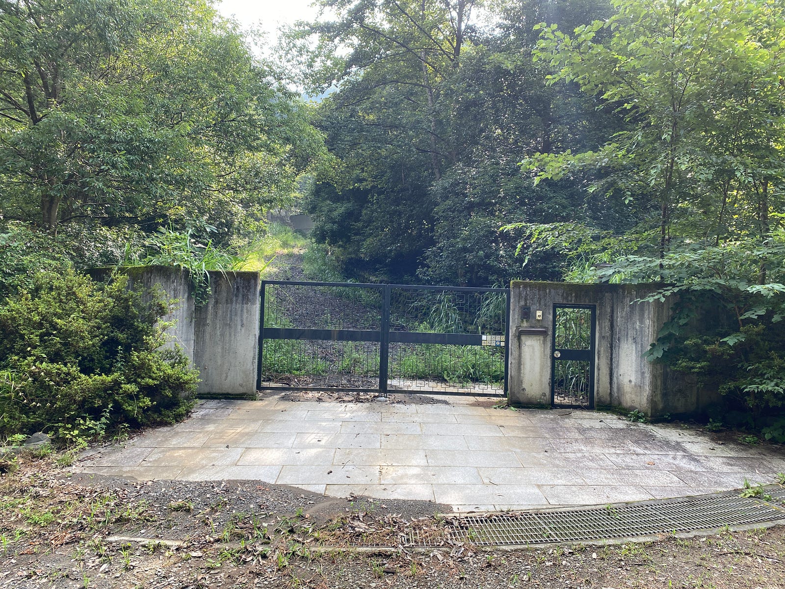Front entrance of an abandoned forest property near Kasamatsu Farm