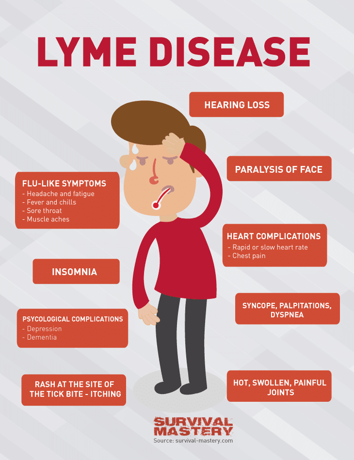 Faster EFT and Lyme Disease Robert Smith Medium