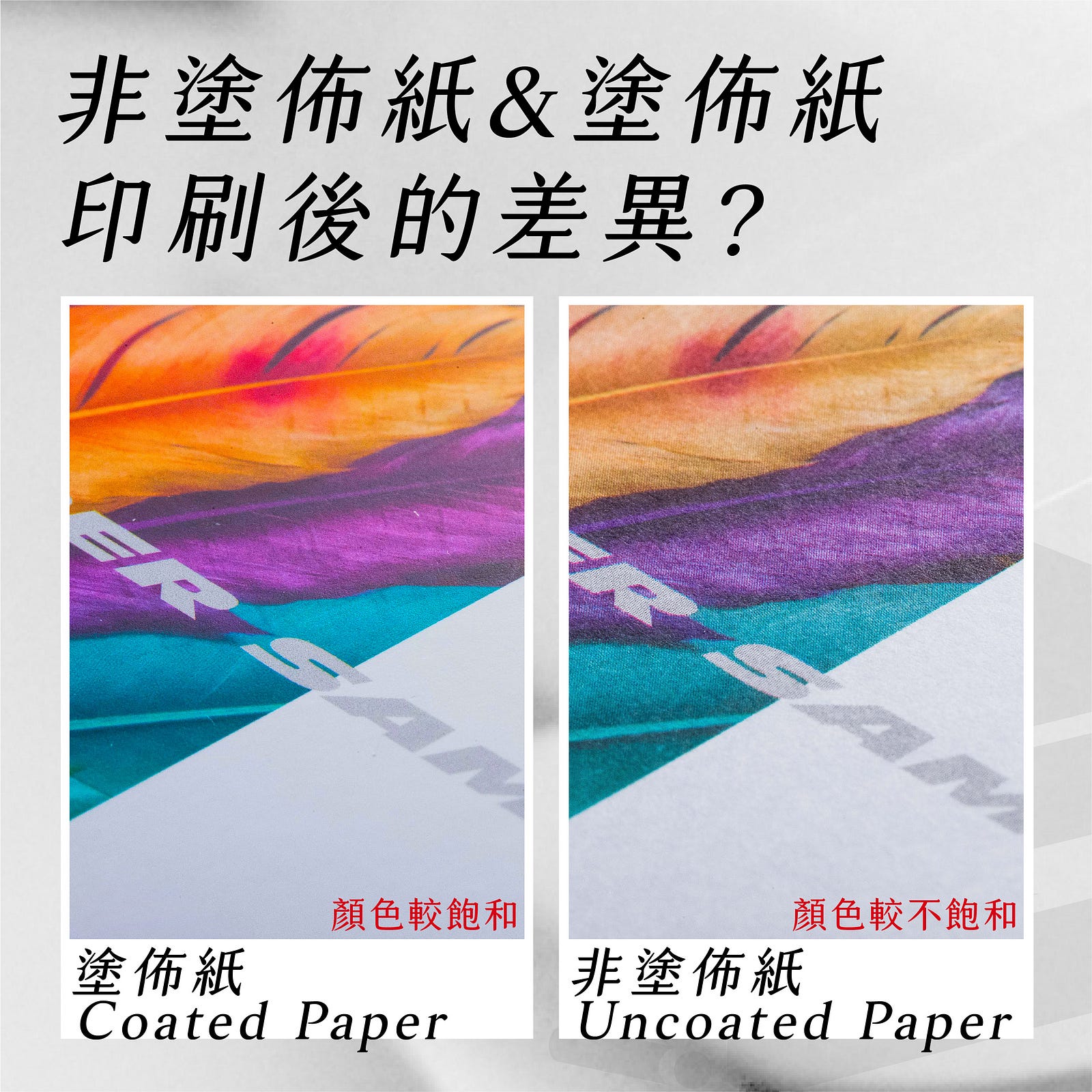 #非塗佈紙 #coatedpaper #塗佈紙 #uncoatedpaper