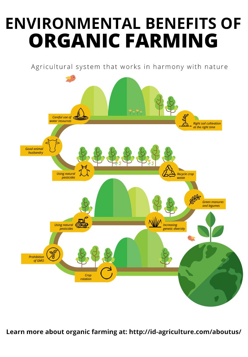 Organic Farming and its Benefits – SeeTree.AI – Medium