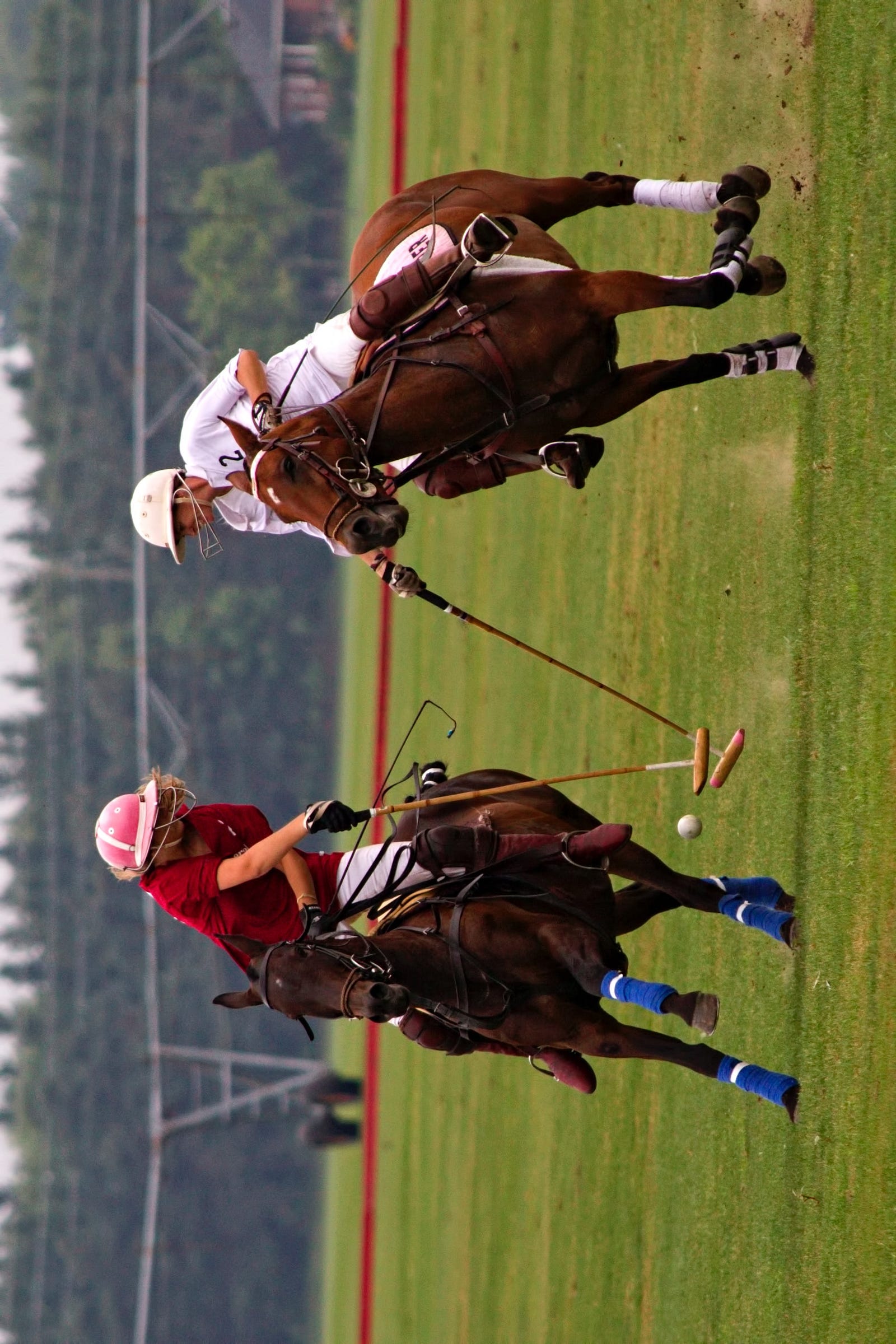 People on horse (Photo by Paul Chambers on Unsplash)