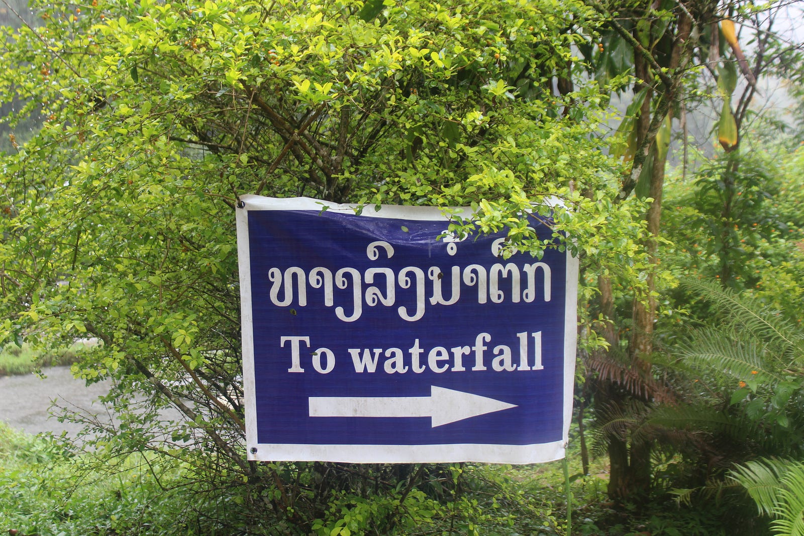 5 Reasons to learn Lao LaoLessons — Learn Lao Language Medium