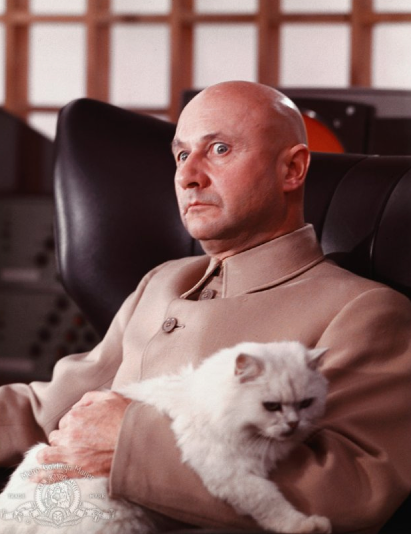 Julian Assange Concedes He is a Villain — Gets a Cat