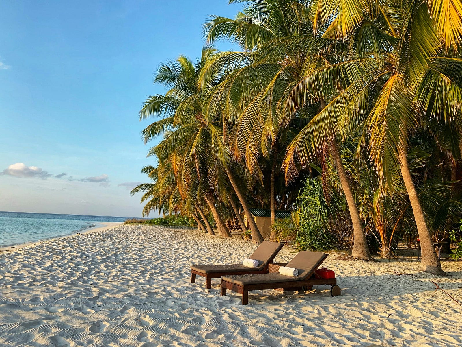 A beach with sunbeds.