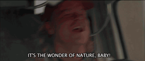 1*Mlle0RIARegYDSTTv7dHbA.gif
