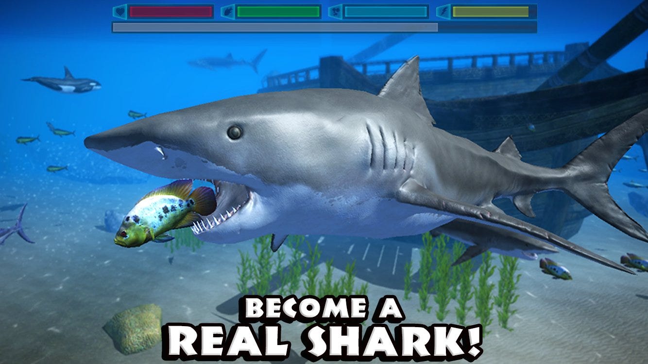 Simulator Simulator