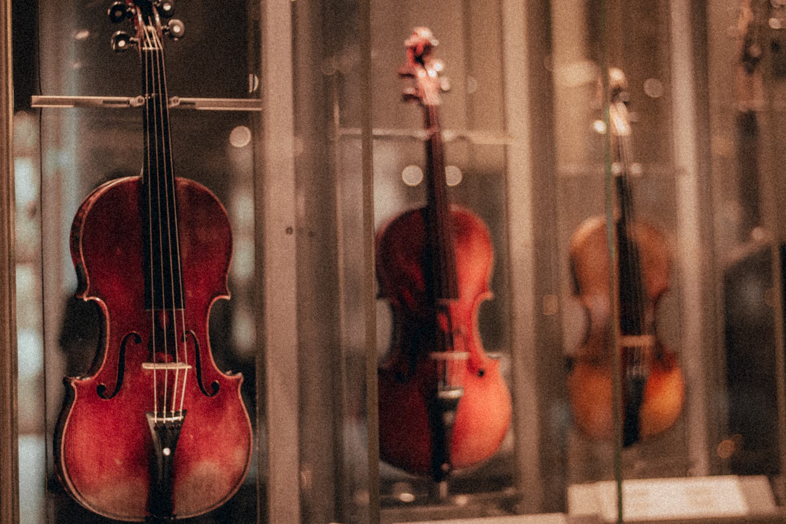 Violins in a glass vitrin