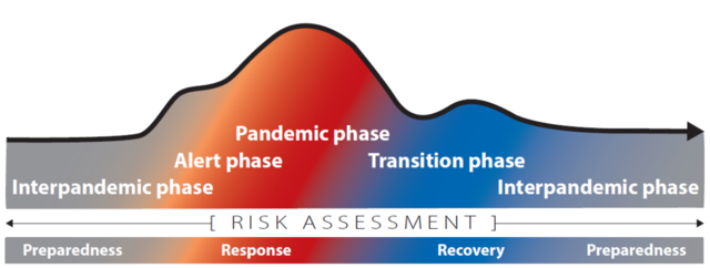 Importance of pandemic preparedness concept.