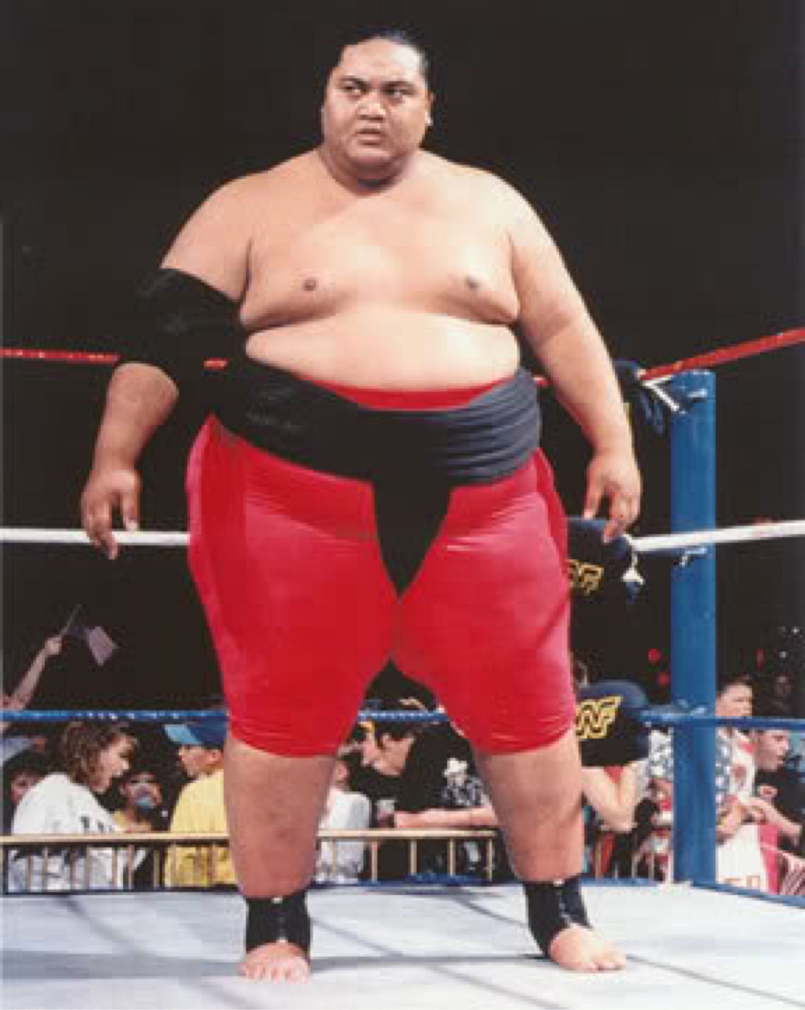 wwe wrestlers fat