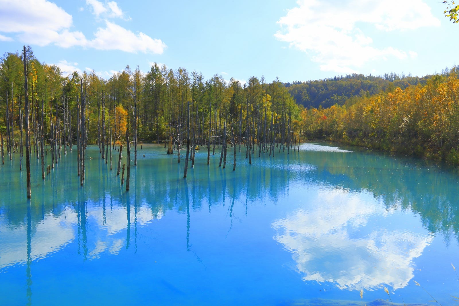 5 Best Autumn Leaves Spots in Hokkaido – Japan Travel Guide -JW Web ...