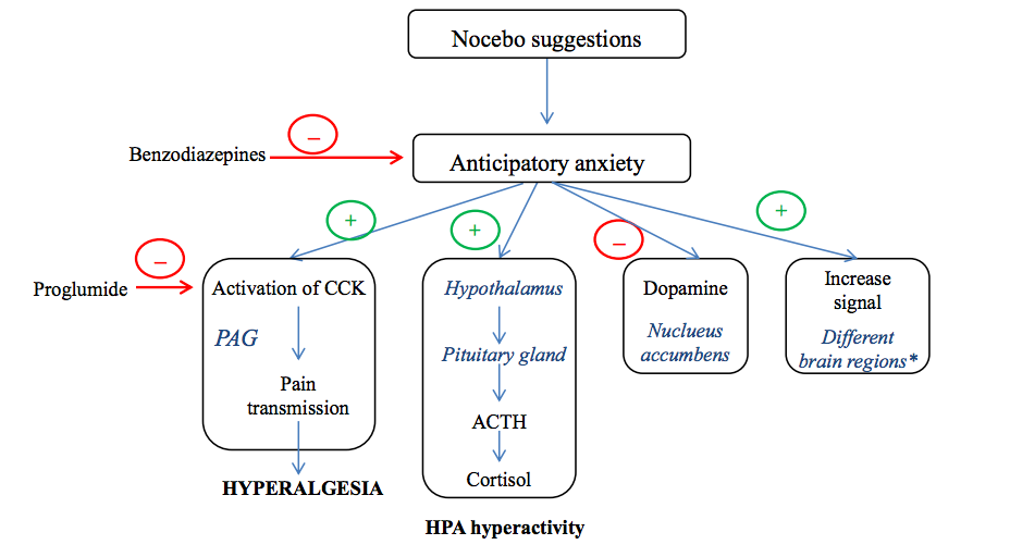 The Nocebo Effect – Pain Talks – Medium