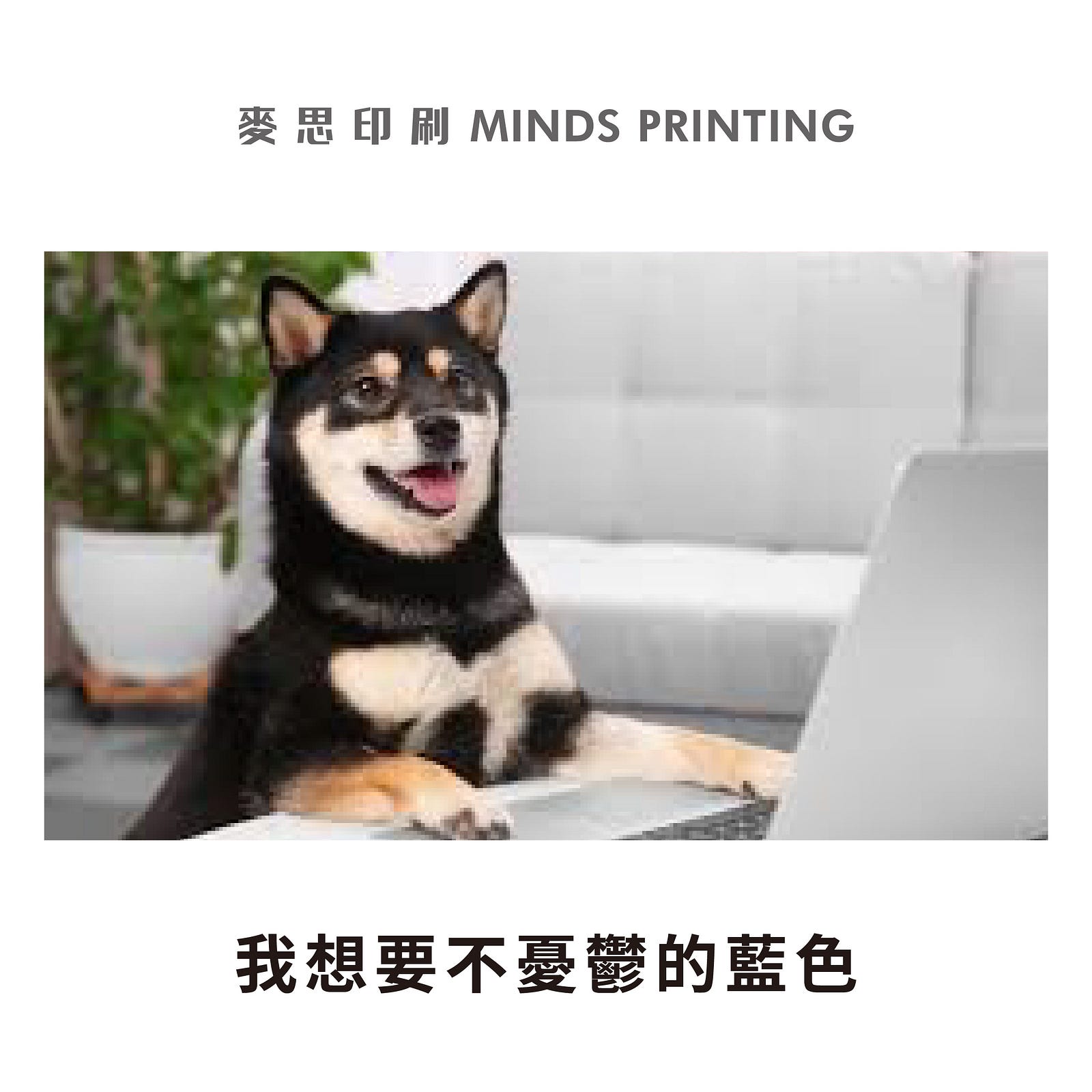 惹怒設計師